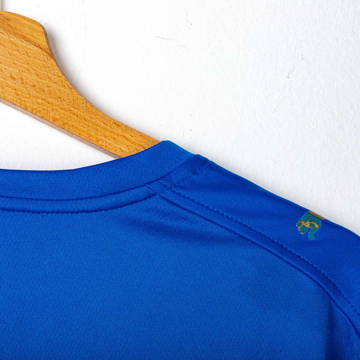 Maglia Allenamento Italia Puma Player 2006