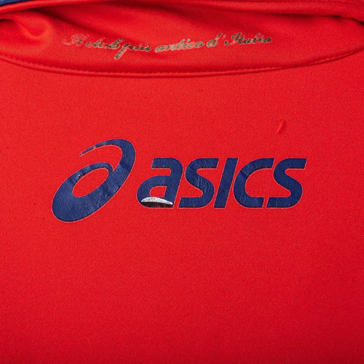 Felpa Allenamento Genoa Asics 2009/2010