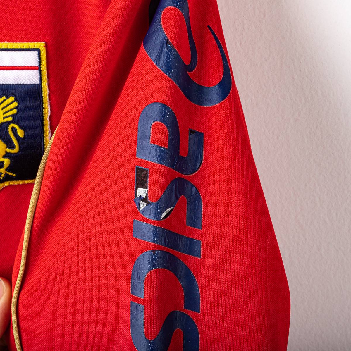 Felpa Allenamento Genoa Asics 2009/2010