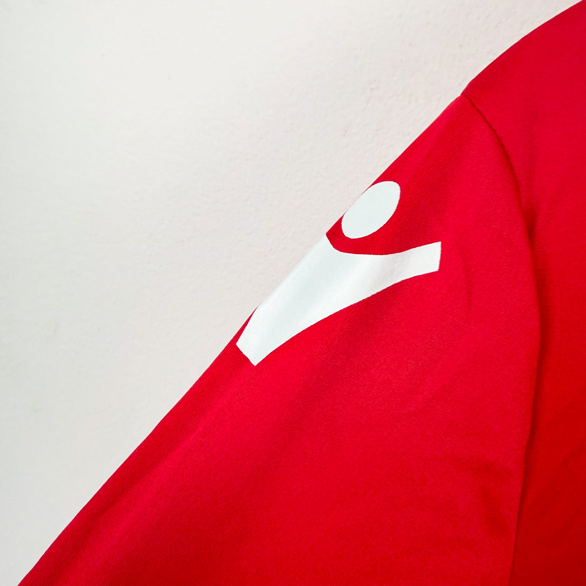 Maglia Home Piacenza Macron 2019/2020 L