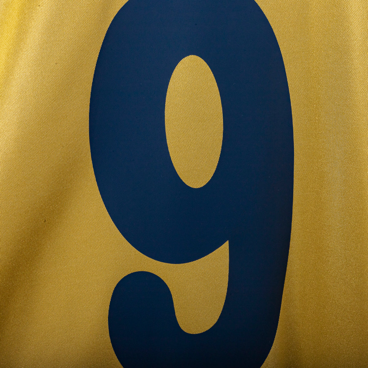 Maglia Third Bologna Macron Cruz 9 2002/2003 76x60