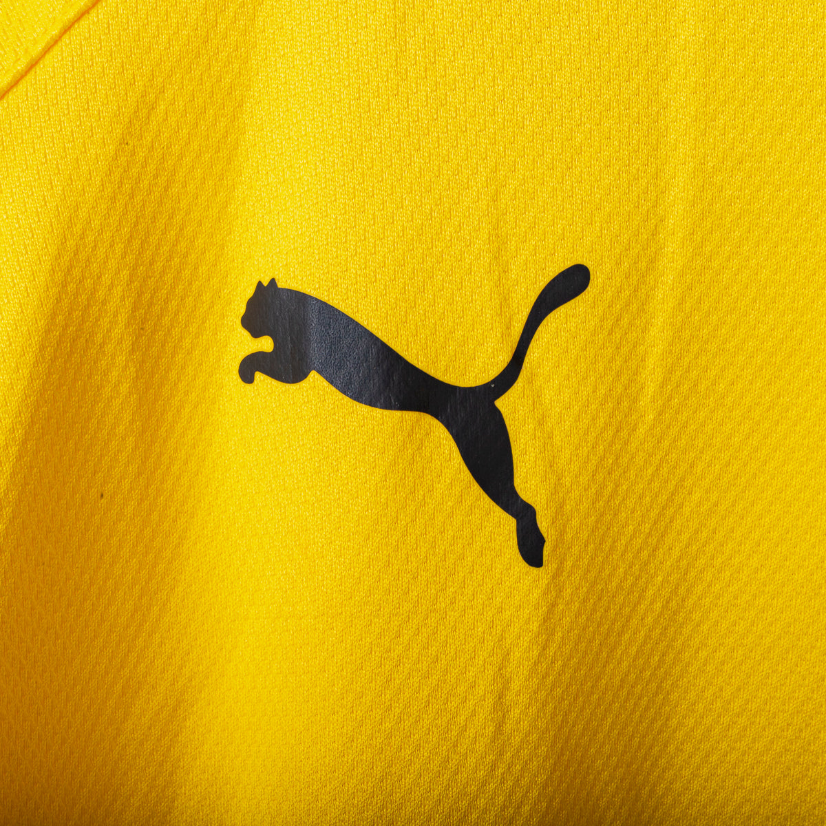 2008/2009 Lazio Puma Carrizo n1 Jersey