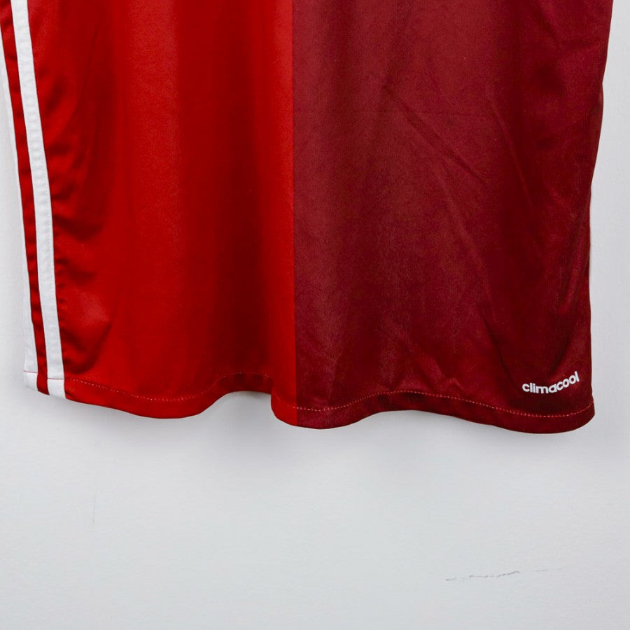 Maglia Home Danimarca Adidas Cicchet 8 2017/2018 by ADIDAS - Home (9)