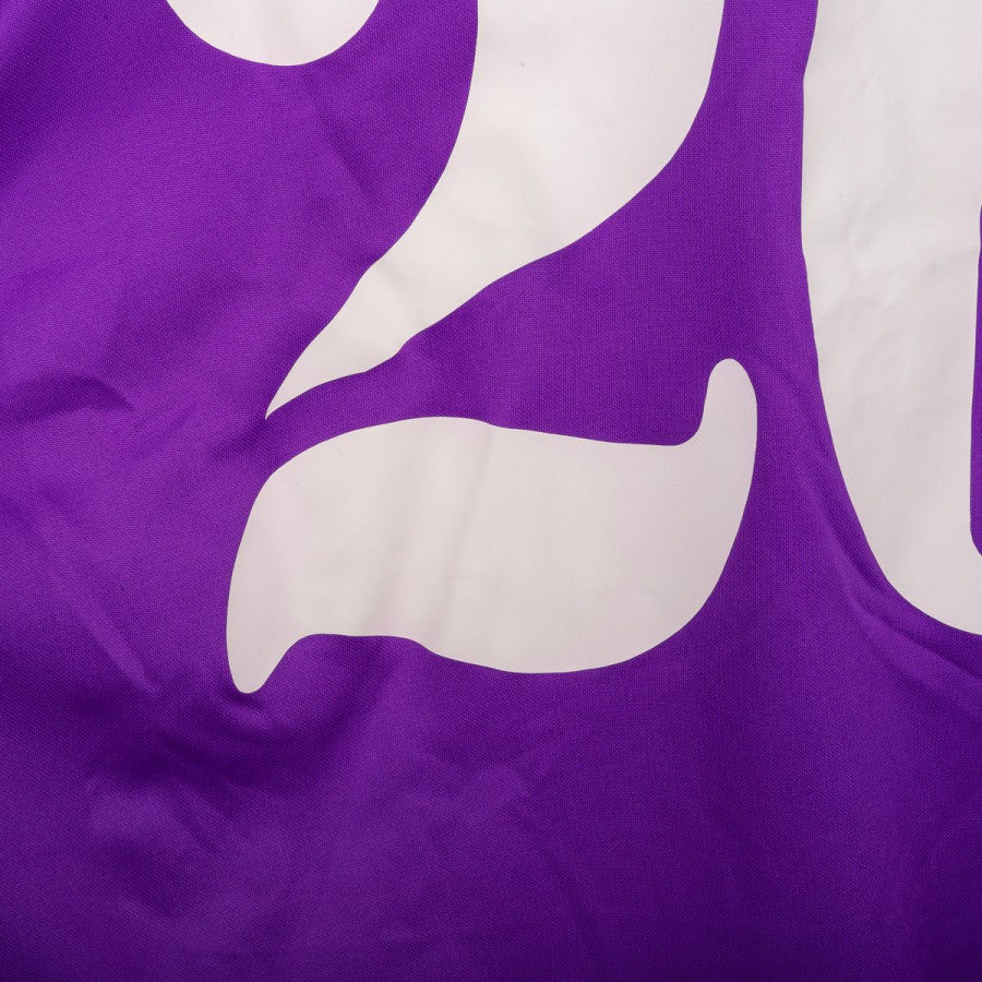 Maglia Home Fiorentina Adidas Valdés 20 2003/2004 by ADIDAS - Home (9)