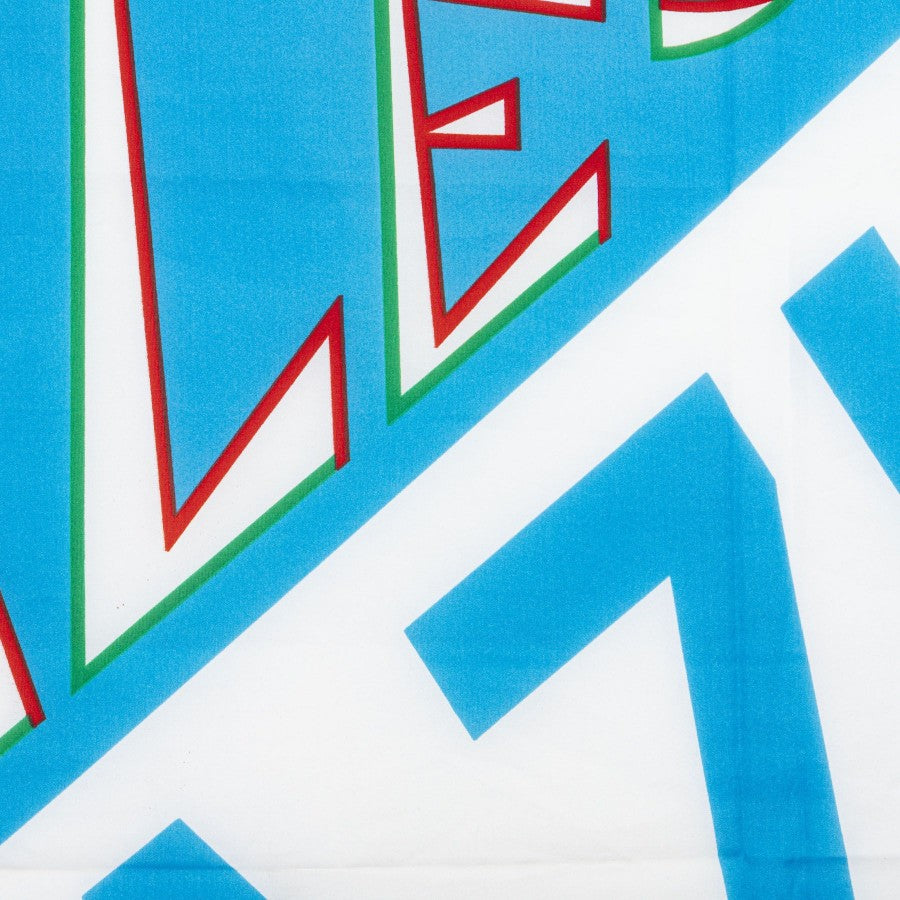 Bandiera Lazio 73-74 Grande - Home (4)