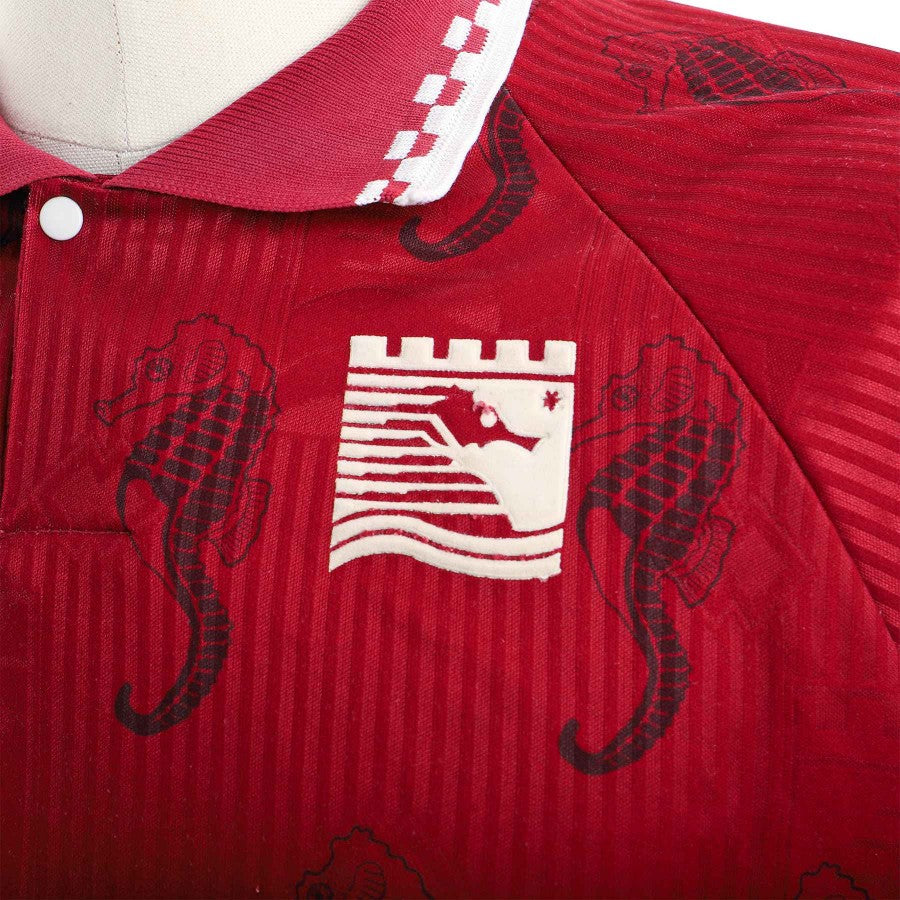 MAGLIA HOME SALERNITANA ERREA 1994/1995 by ERREA - Home (4)