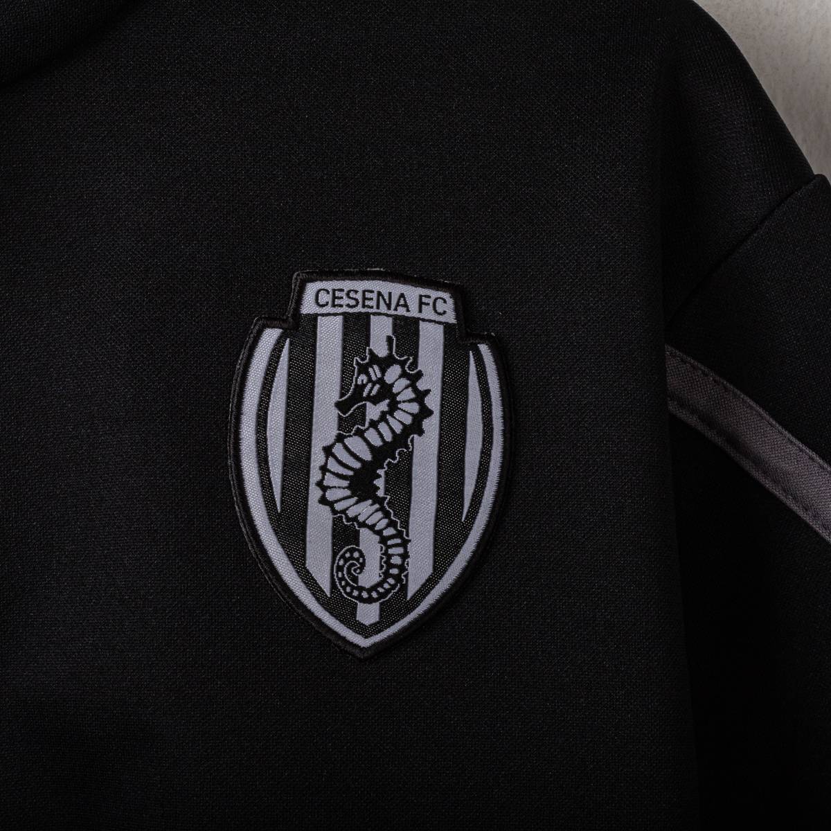 Felpa Cappuccio Cesena Errea 2024/2025