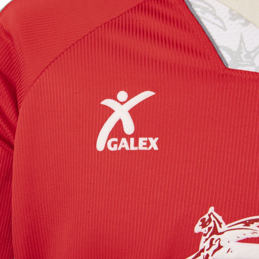 Maglia Home Perugia Galex Amoruso 9 1999/2000 by GALEX - Home (4)
