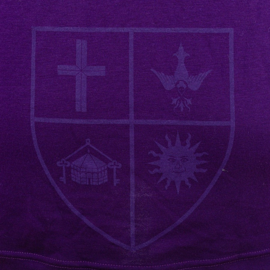 Polo Fiorentina Le Coq Sportif 2018/2019 by LE COQ SPORTIF - Home (8)