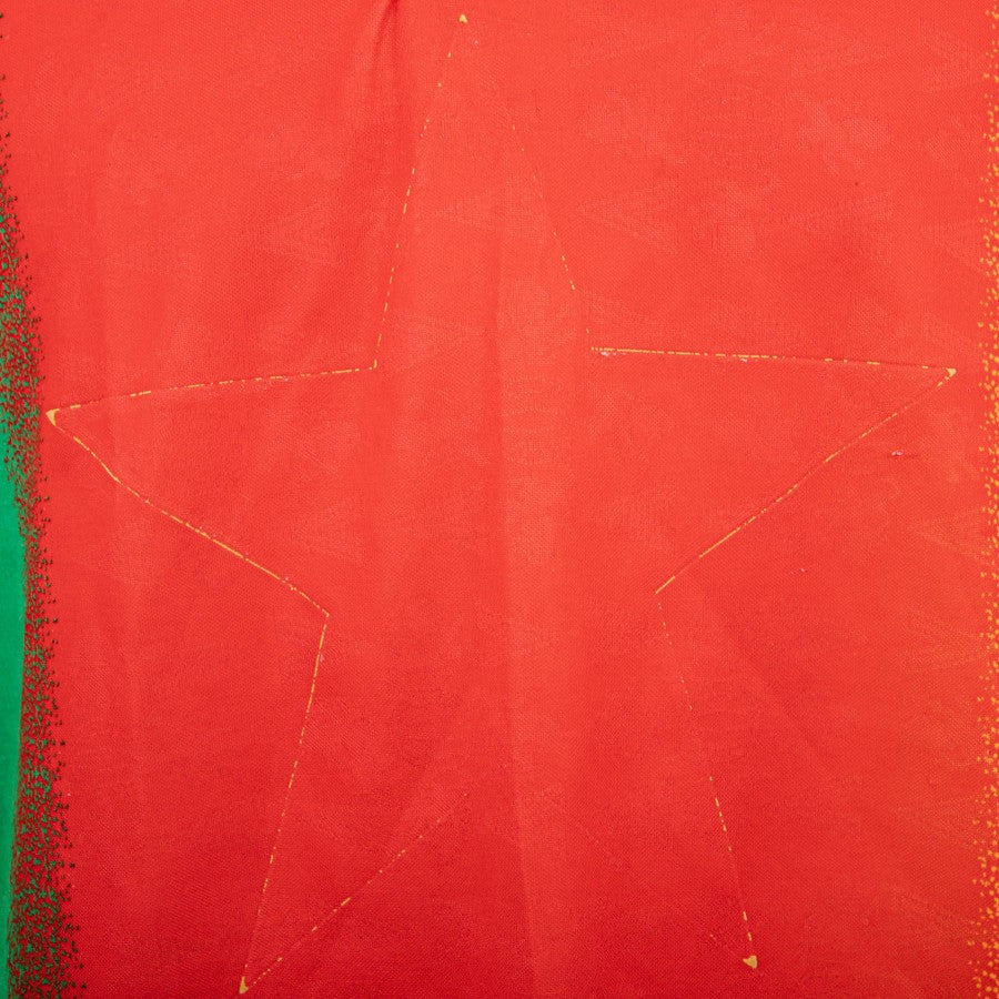 maglia home camerun mitre 1994 by mitre - Home (5)