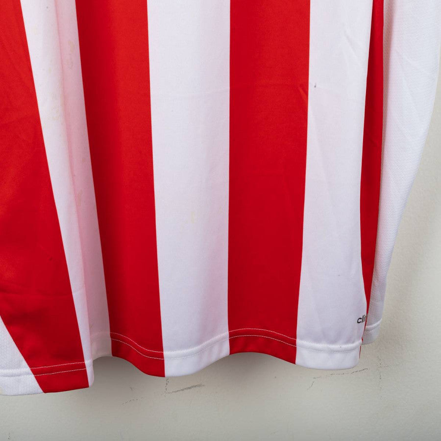 maglia home sunderland Adidas Fletcher 9 2013/2014 by NIKE - Home (17)