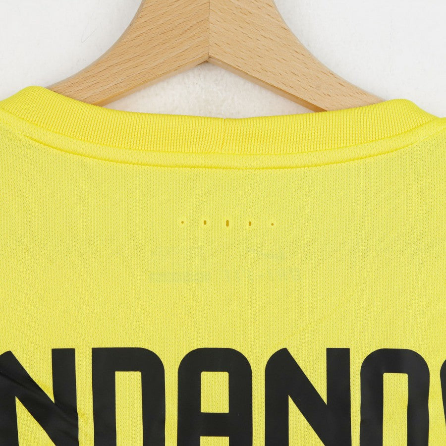 Maglia Portiere Inter Handanovic 1 2015/2016 by NIKE - Home (3)