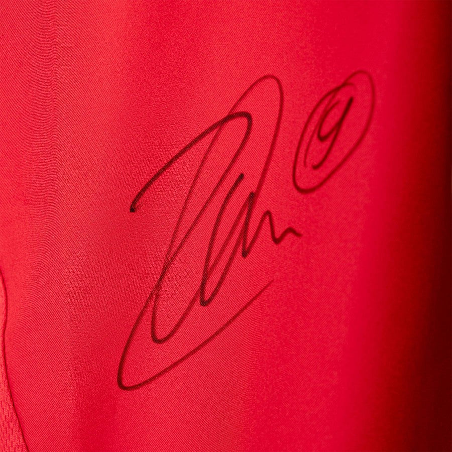 maglia third juventus ibrahimovic 9 2005/2006 by NIKE - Home (7)