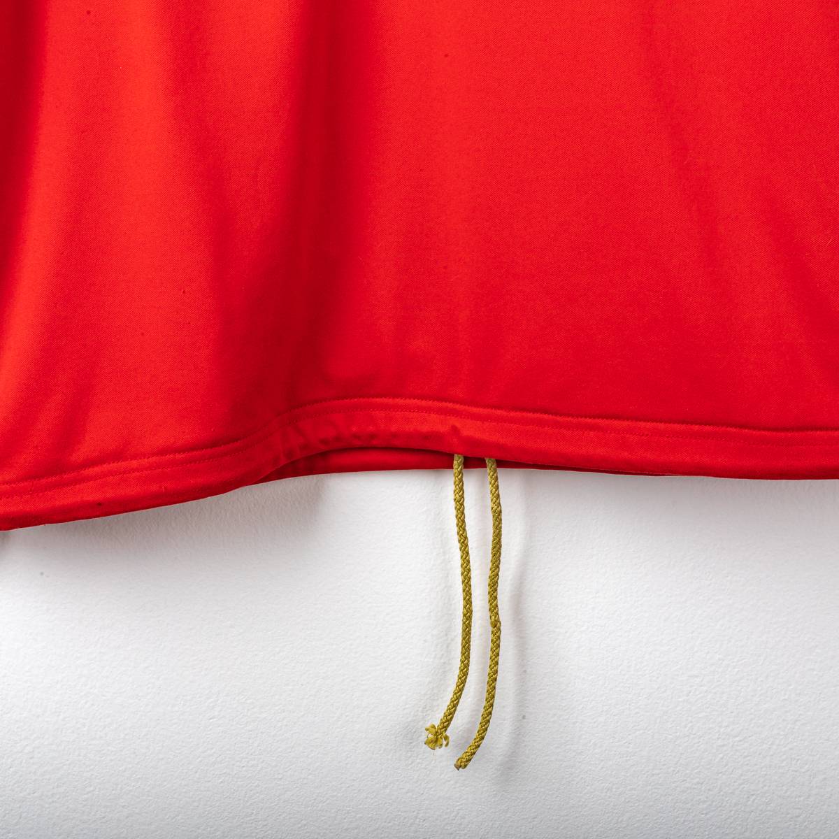 Felpa Allenamento Genoa Asics 2009/2010