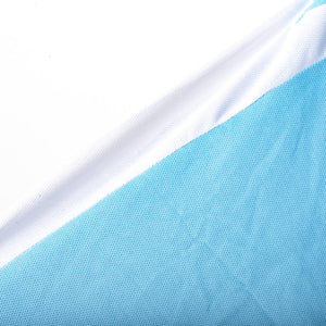 Maglia Home Lazio Puma Stankovic n10 2003/2004