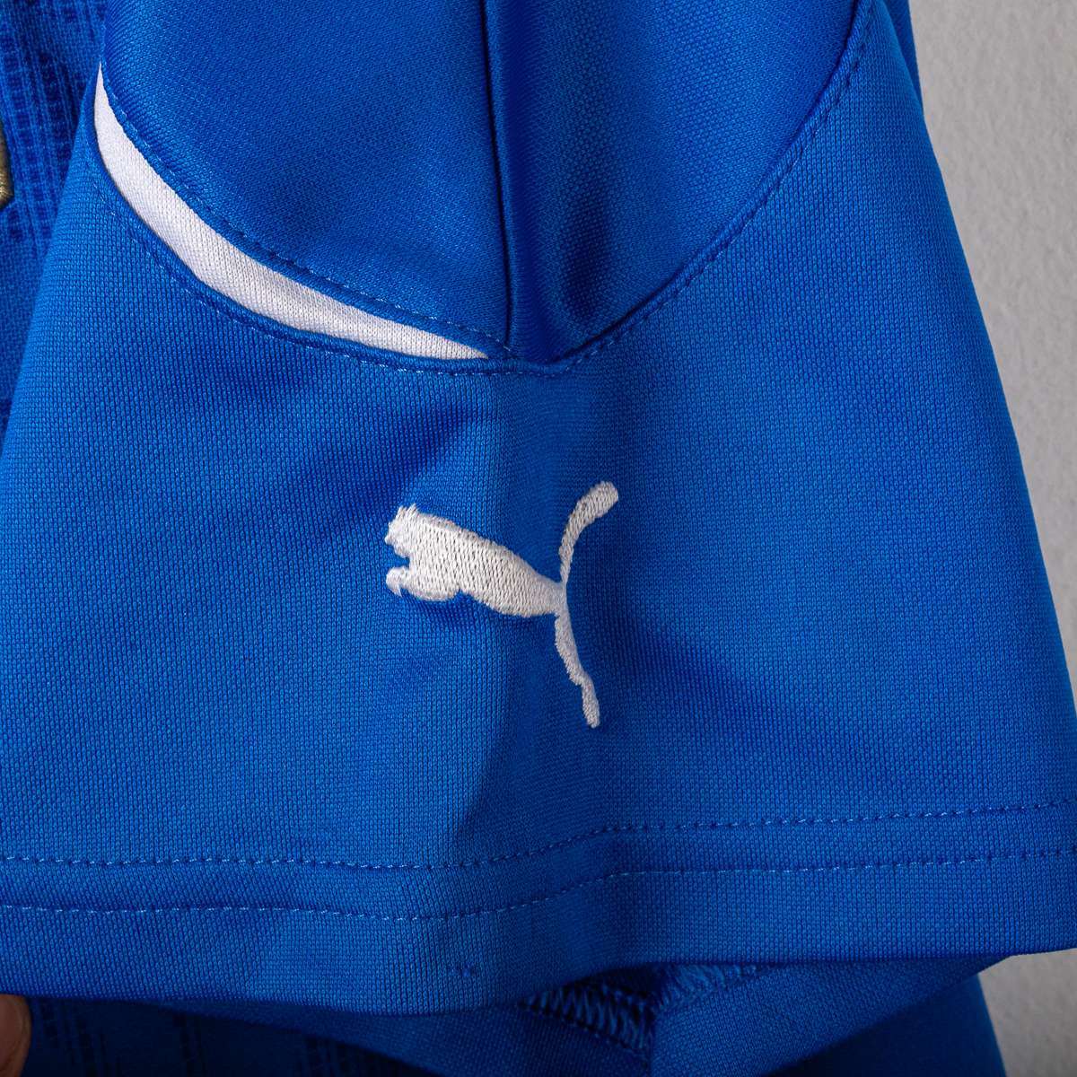 Maglia Home Italia Puma Cannavaro n5 2010