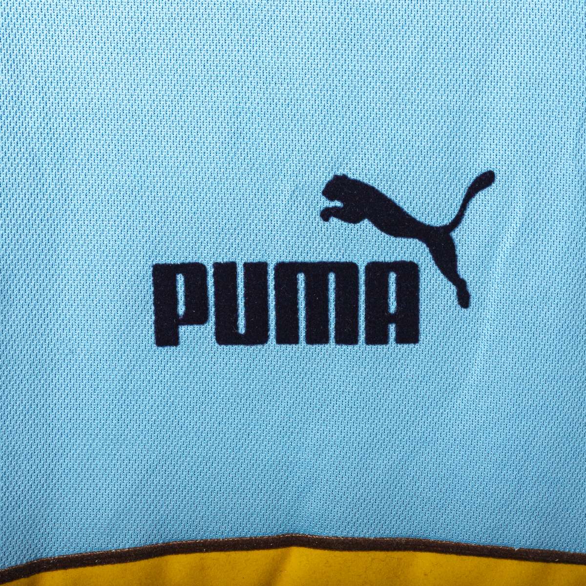 Maglia Home Lazio Puma Stankovic n10 2003/2004