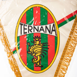 Gagliardetto Ternana Calcio Promoser Anni 2010