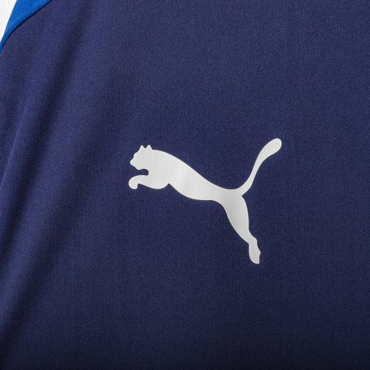 T-Shirt Allenamento Italia Puma 2016/2017