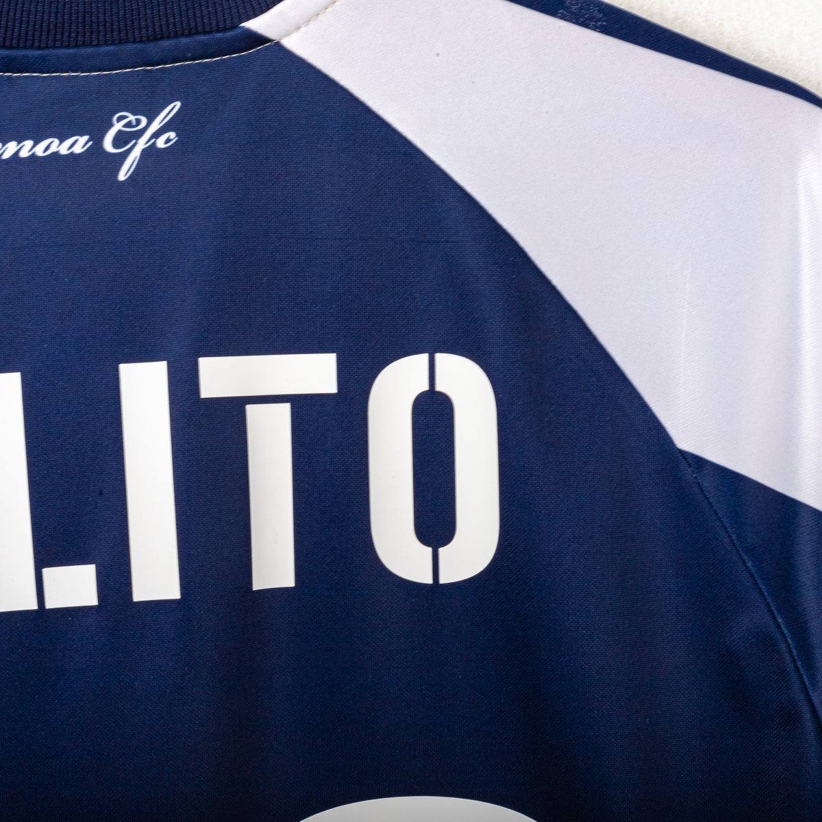 Maglia Third Genoa Asics Milito 22 2008/2009 L