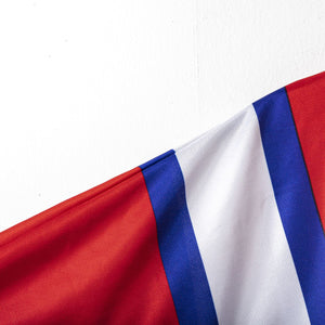 Maglia Francia Home  Adidas Cantona 18 1992