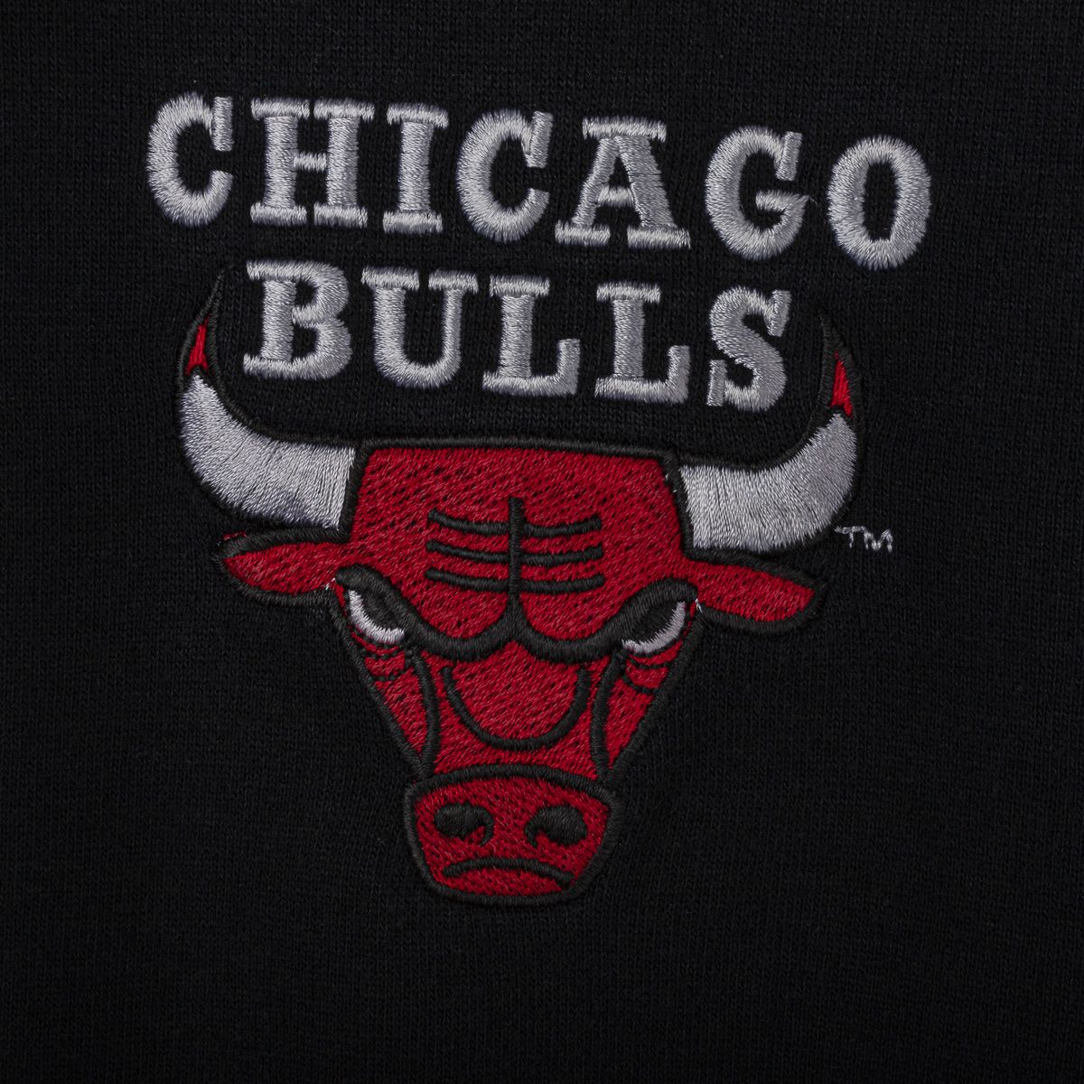 Felpa NBA Chicago Bulls Champion anni 90