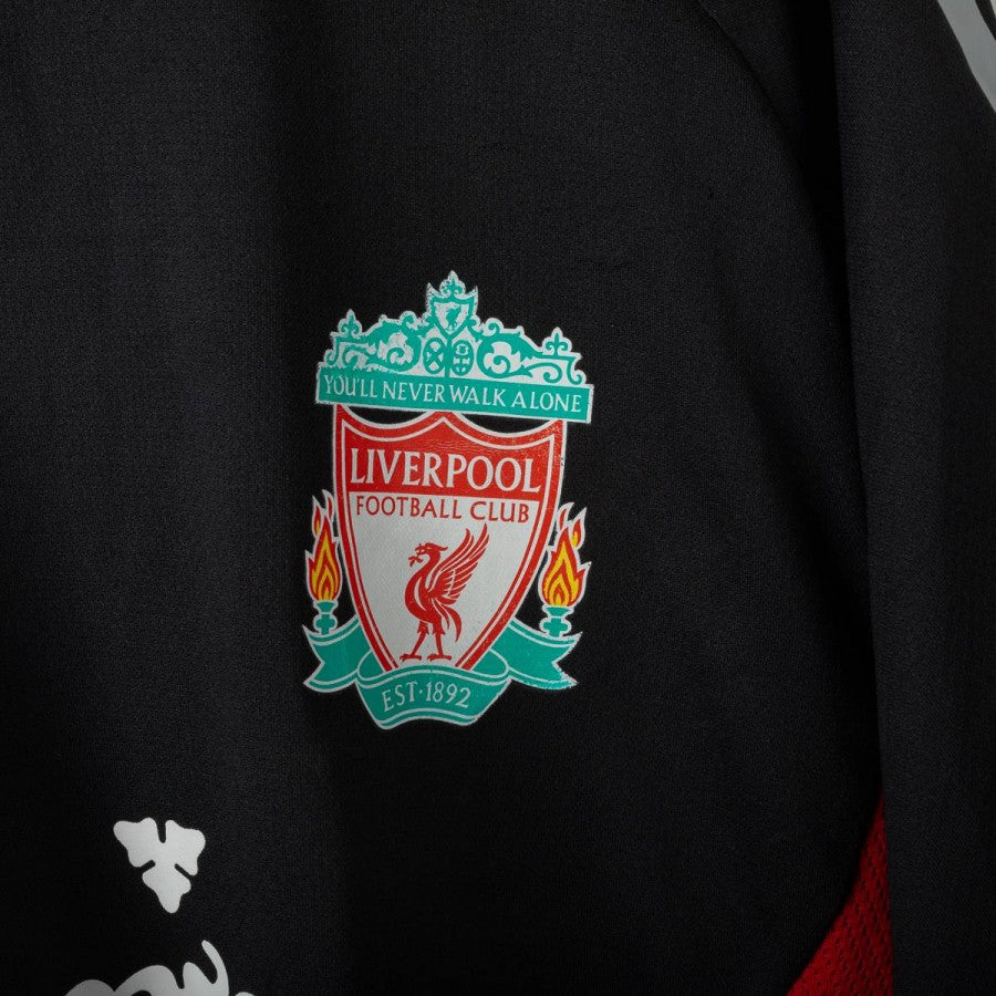 T-shirt Allenamento liverpool 2008/2009 by ADIDAS - Home (9)