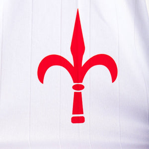 maglia away triestina rizzi 2 2007/2008 by ASICS - Home (9)