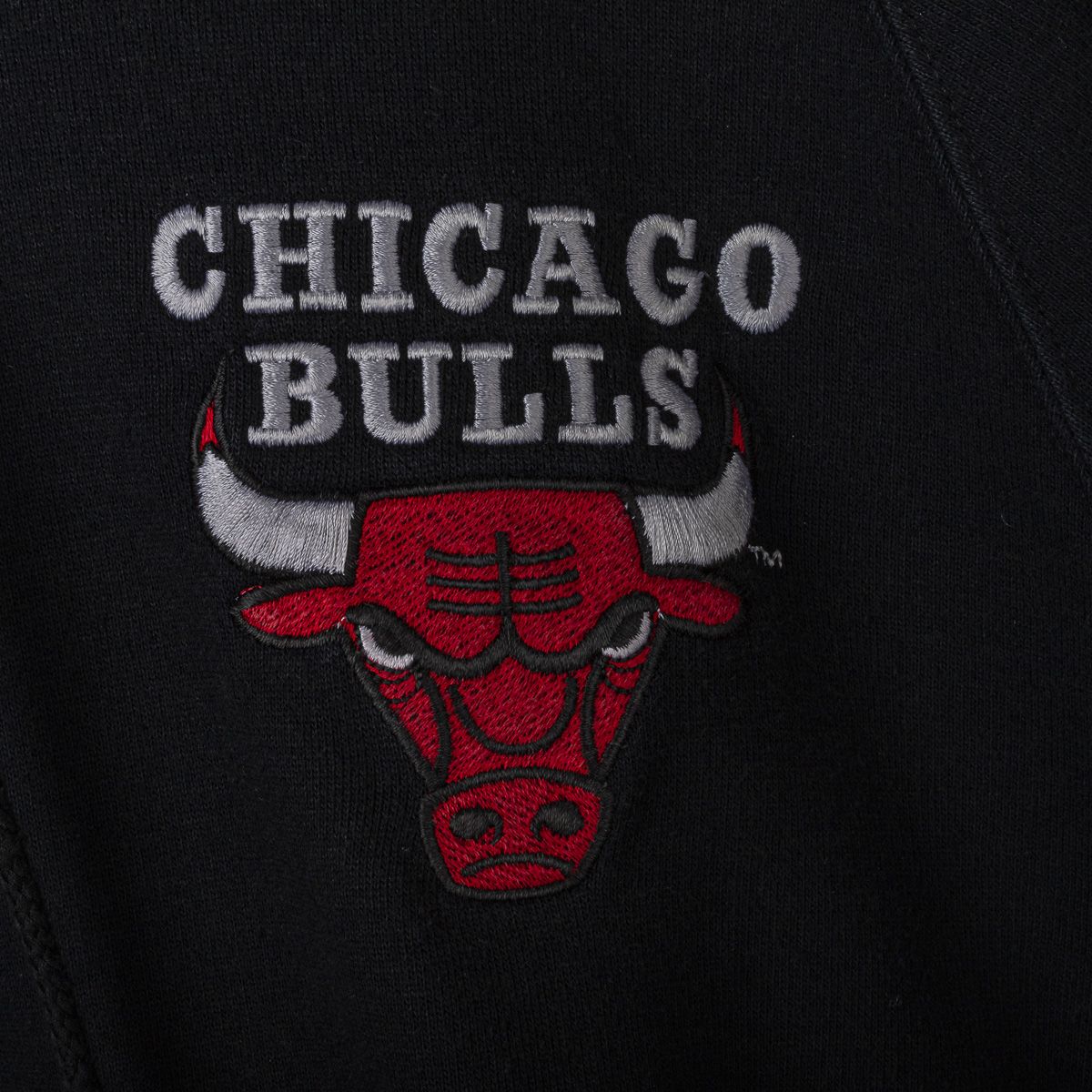 Felpa NBA Chicago Bulls Champion anni 90