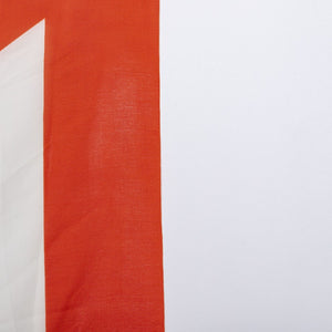 Bandiera Bari “Forza Bari” - Home (4)