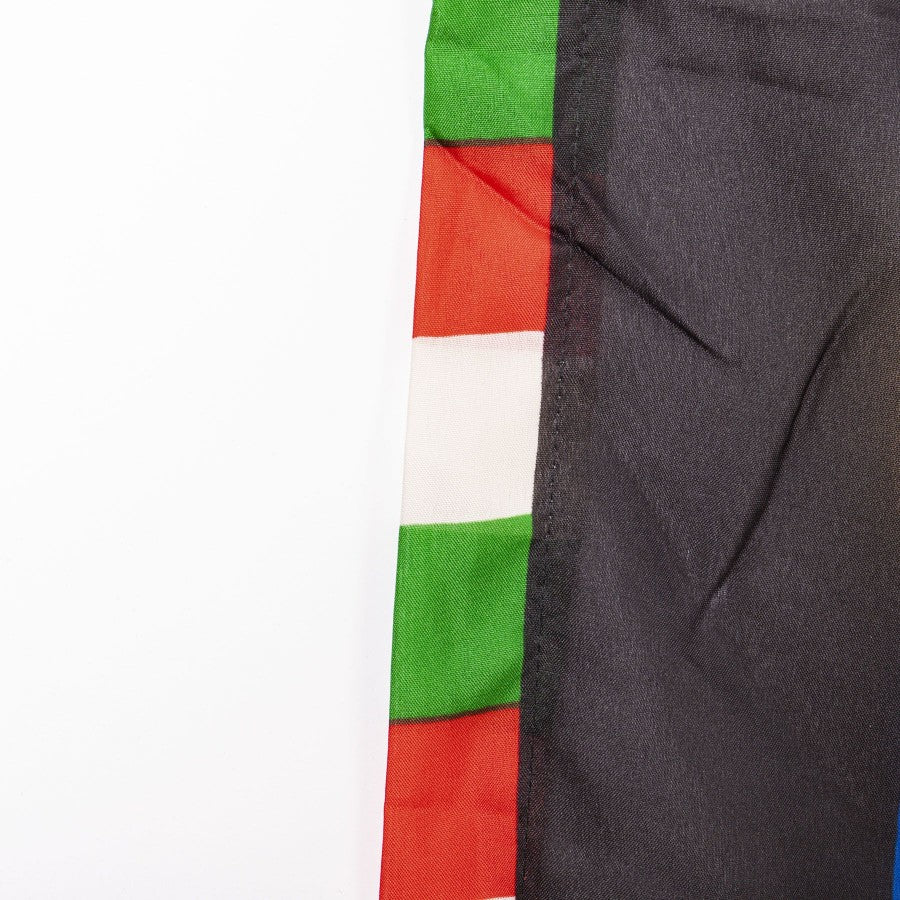 Bandiera Inter 13° Scudetto  V4 (scudetti ad arco con logo giu) - Home (3)