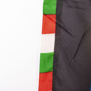 Bandiera Inter 13° Scudetto  V4 (scudetti ad arco con logo giu) - Home (3)