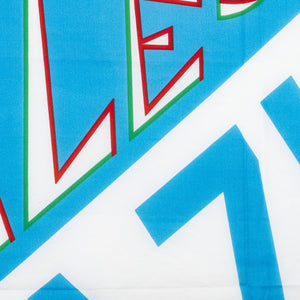 Bandiera Lazio 73-74 Grande - Home (4)