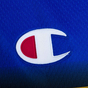 MAGLIA AWAY PARMA CHAMPION MORFEO 10 2004/2005 by CHAMPION - Home (5)