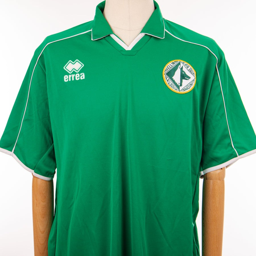 maglia gara avellino errea 2014/2015 n.2 by ERREA - Home (8)