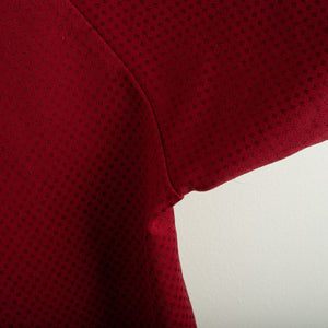 Maglia Home Reggiana N15 2015/2016 by ERREA - Home (11)