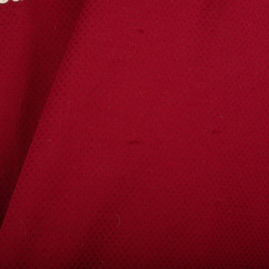 Maglia Home Reggiana N15 2015/2016 by ERREA - Home (19)