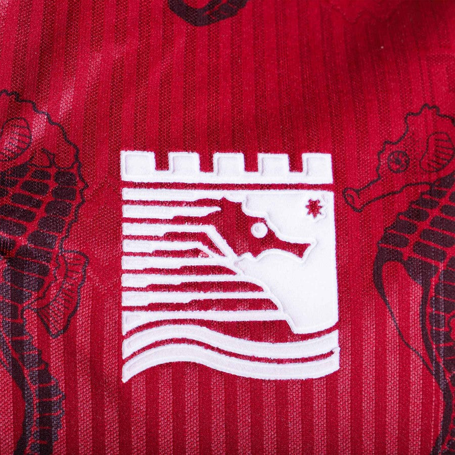 MAGLIA HOME SALERNITANA 1994/1995 TG XL by ERREA - Home (4)