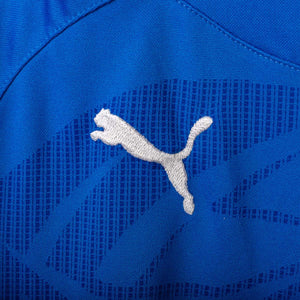 Maglia Home Italia Puma Cannavaro n5 2010