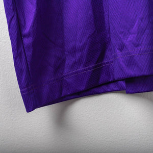 Maglia Home Fiorentina Reebok Amoruso n5 1995/1996