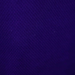 maglia home fiorentina fila rui costa 10 1998/1999   by FILA - Home (6)