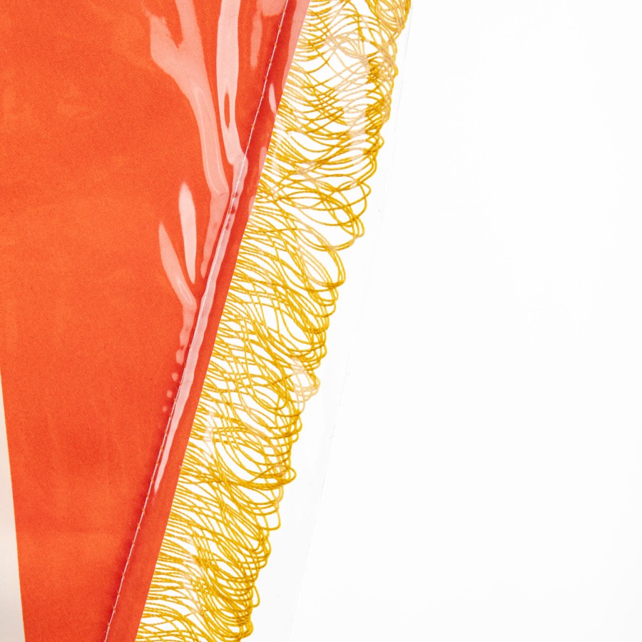 gagliardetto bari anni 80 (5)