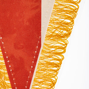 gagliardetto bari anni 80 (4)