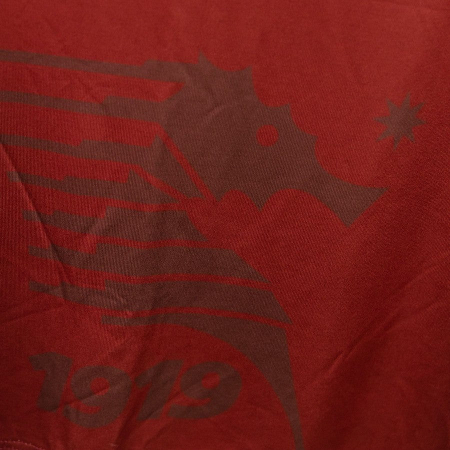 Maglia Home Salernitana Givova 2015/2016 by GIVOVA - Home (8)