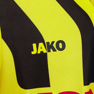 Maglia Young Boys Jako Gerndt n9 2014/2015 by JAKO - Home (9)