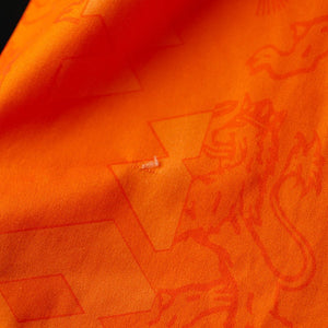 maglia home paesi bassi lotto bergkamp 10 1994 by LOTTO - Home (6)
