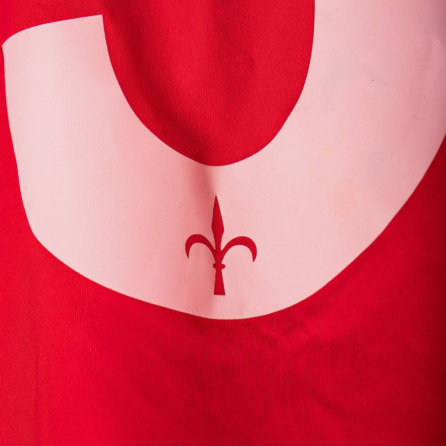 maglia home triestina rullo 3 2008/2009 by MASS - Home (11)