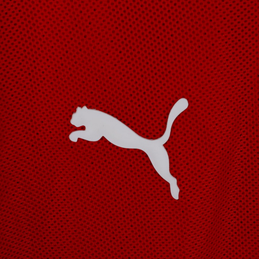 Maglia home svizzera nike 2008/2009 by NIKE - Home (4)