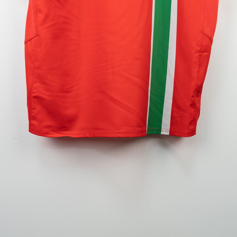 Maglia Third Juventus Nike del piero 10 2006/2007 by NIKE - Home (17)