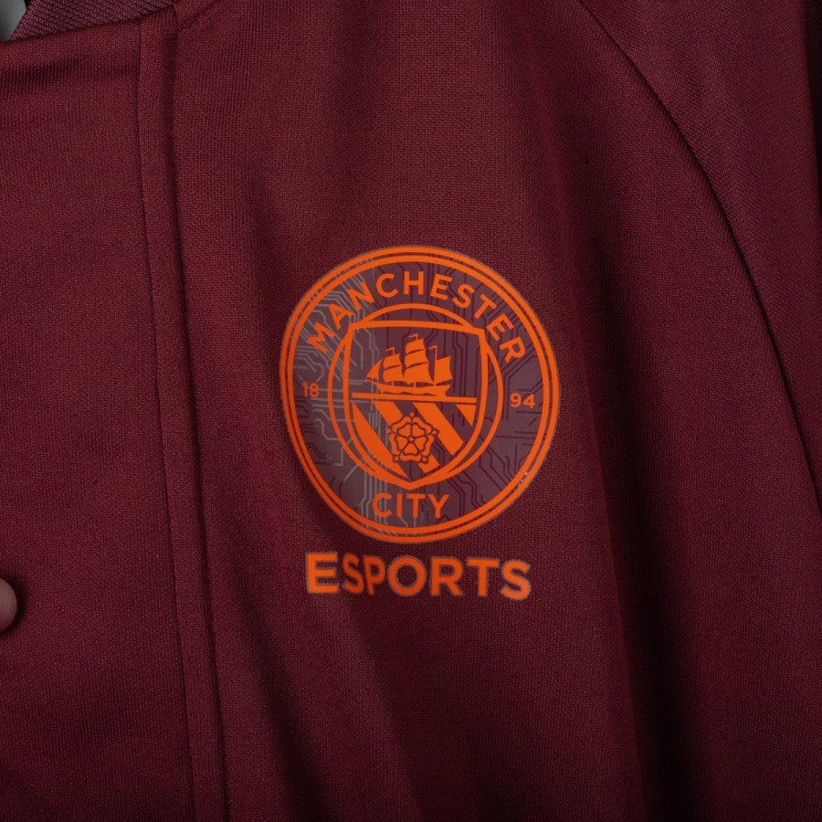 Giacca Esports Manchester City Puma 2023/2024 by PUMA - Home (9)